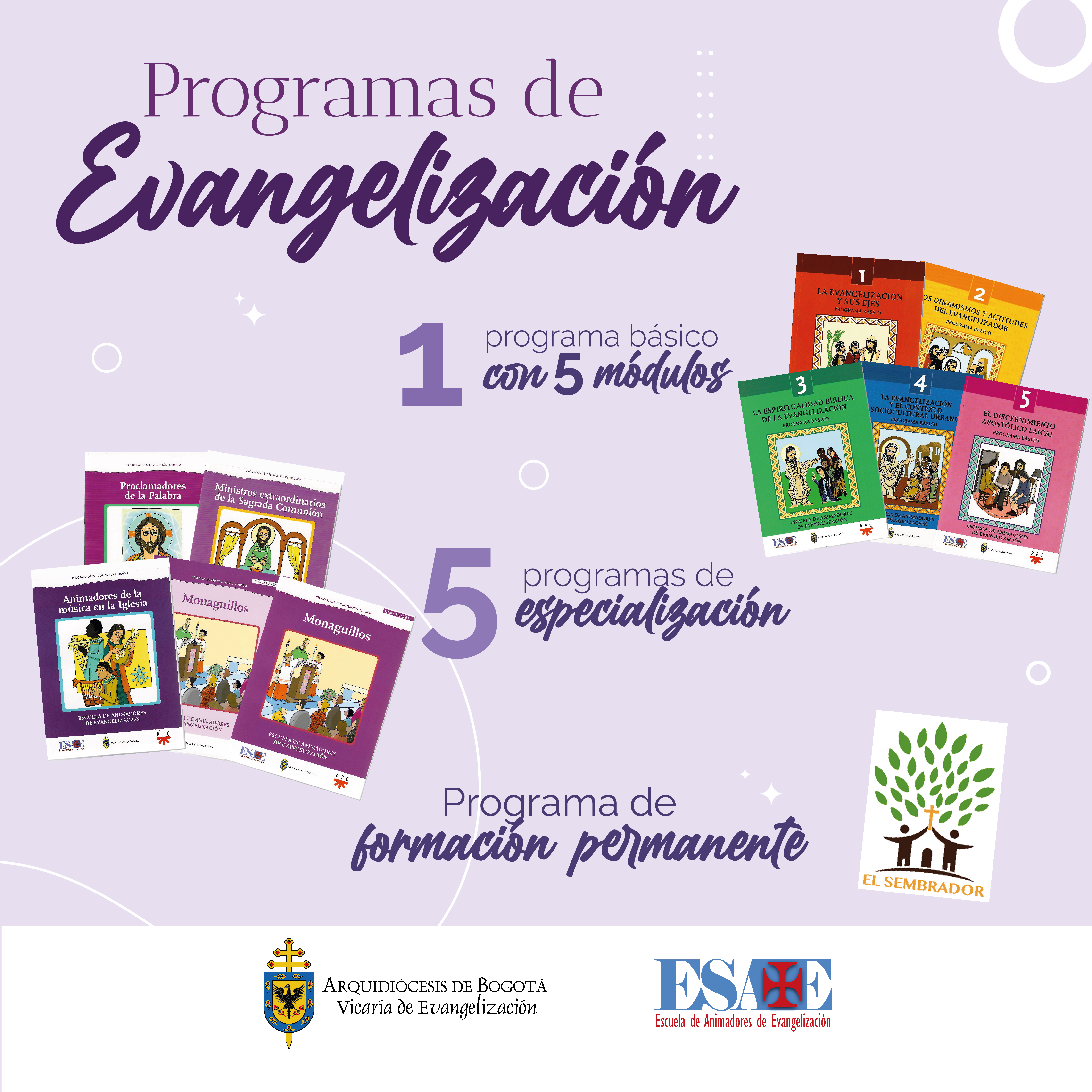 Programa Formativo
